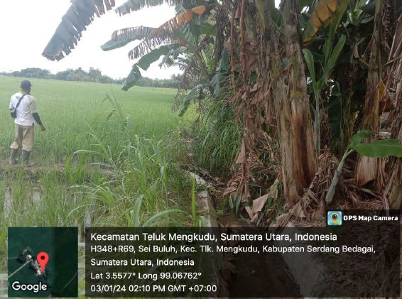 Gambar Irigasi