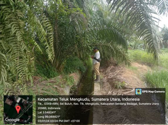 Gambar Irigasi