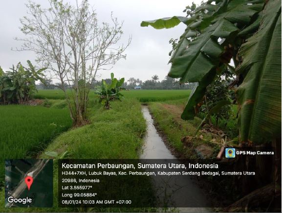 Gambar Irigasi